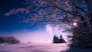 Incarnation - Opening (Sub español)