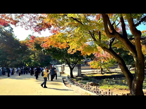 창덕궁 후원, 왕의 비밀정원, 시크릿 가든, 가을 단풍 🍁 서울 단풍 명소 📸 사진찍기 좋은 장소 | 4K
