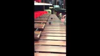 아이유(IU) - 너의 의미(Meaning of You) Marimba cover.