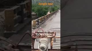 jungle tour #viral
