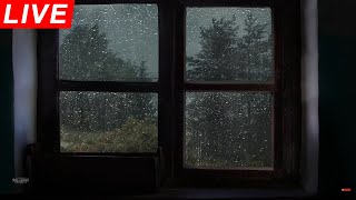 🔴 Cozy Window Rain &amp; Thunder | Be Asleep in 10 min | Heavy Rain for Sleep, Study and Relaxation