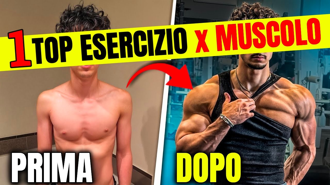 Estrattore Molle 3 In 1 Per Esercizi Braccia, Petto E Vita – Espansore Muscolare Per Palestra Casa