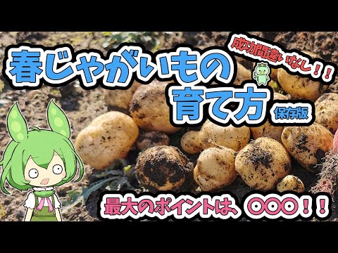 植え付け時期と準備🌱