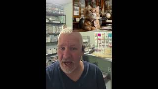 This Cat Was Mayor for 20 YEARS