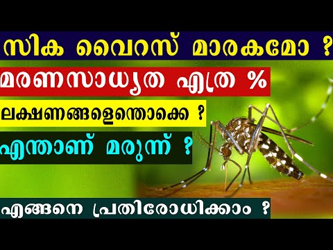 സിക്ക വൈറസ് | Zika virus malayalam I സിക്ക വൈറസ് ലക്ഷണങ്ങൾ