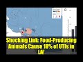 Shocking Link: Food-Producing Animals Cause 18% of UTIs in LA!