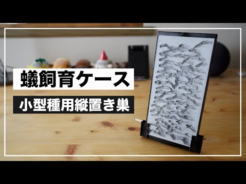 Homemade] I made an ant rearing case using a vertical case from