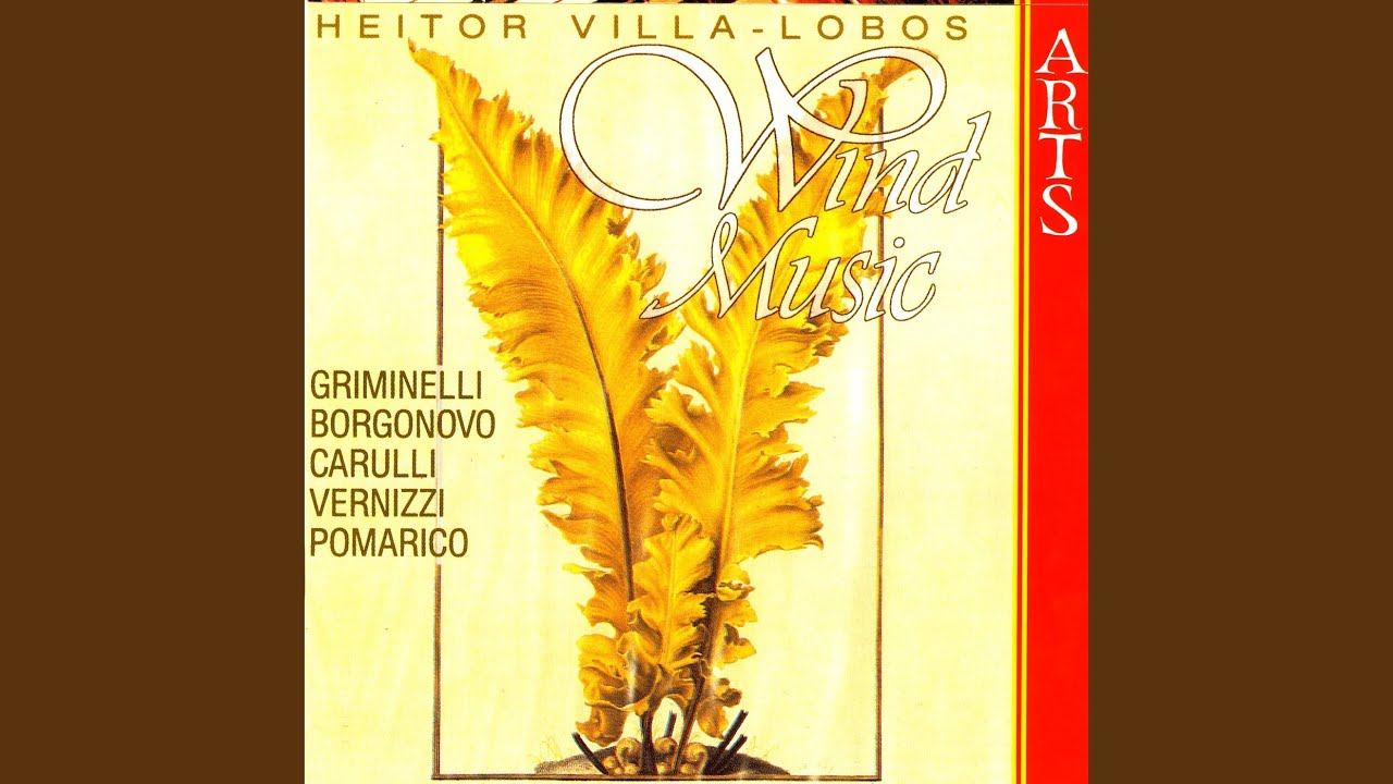 Quatuor For Grande Flute, Oboe, Clarinet & Bassoon: Allegro Non Troppo (Villa-Lobos)