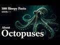The Most Relaxing Facts About Octopus to Fall Asleep To — No Adverts