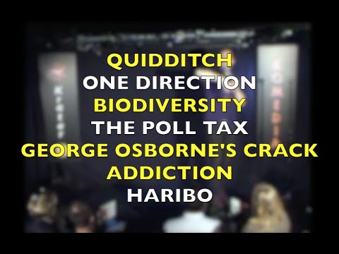 Freestyling about One Direction and Quidditch; or, 'Capturing the Zeitgeist'