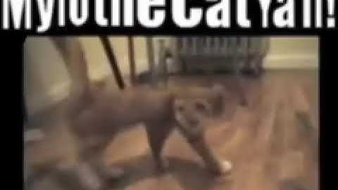 Shortest Video on YouTube Part 9 In Content Aware Scale