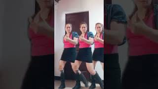 #justforyou #roses #rosemarie #rosemary #prettyroses #shortsvideo #shorts #fypageシ #fyp #fypspotted