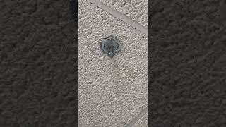 This sprinkler head was changed and even the new one leaked also. unbelievable.