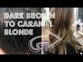 DARK BROWN TO CARAMEL BLONDE | PRAVANA COLOR REMOVER