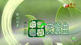 嘉義梅山龍眼林茶場【甜園交響曲 69】｜ WXTV唯心電視台