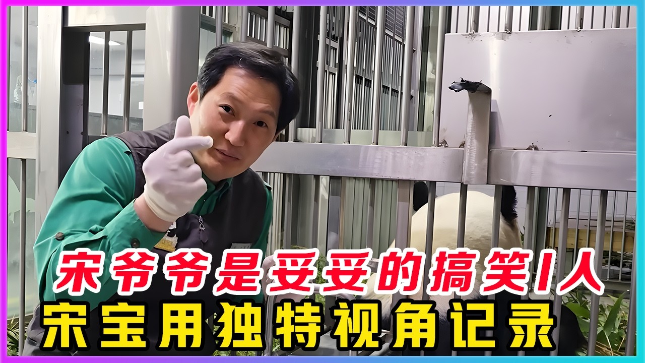 26022800宋爷爷不愧是一个妥妥的搞笑I人，承包了整个宝家族的笑点。在最新一期宝家族视频中，宋爷爷又开始脑洞打开，开发独特的视角记录宝家族熊宝们的有趣视频。