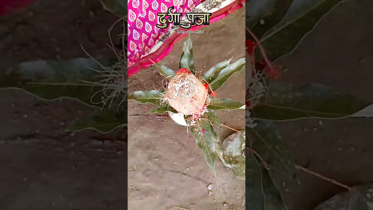 New Durga Puja ll stets singtauli ll 