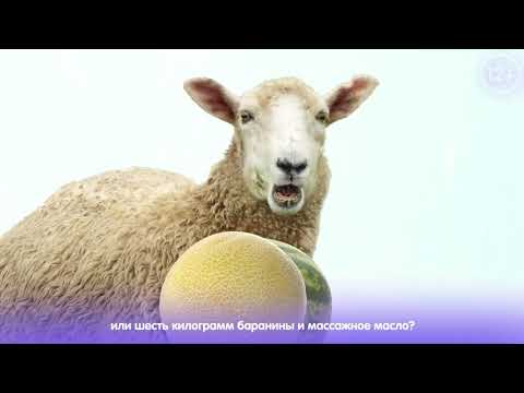 Viber | Голосование в чатах