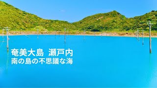 奄美大島 蘇刈の不思議な海/ホノホシ海岸と青い池【奄美群島 離島の旅】