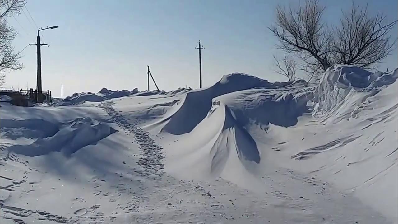 Щербакты казахстан