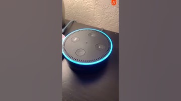 "Alexa, fart for me"