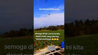 Download Lagu rezeki terindah adalah MP3 Download Lagu rezeki terindah adalah MP3