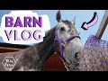 Lesson on New Horse + Jumping Casper | Barn Vlog AD | This Esme
