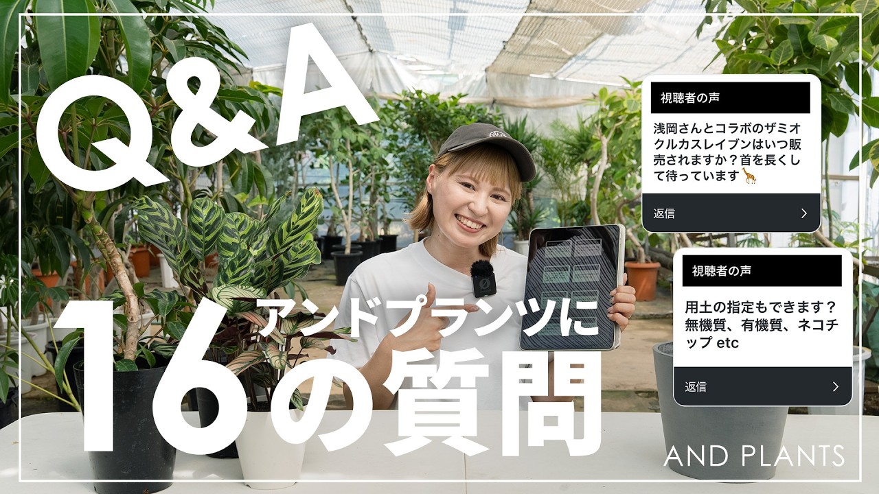 【本音で回答】アンドプランツに届いた16の質問！価格の理由は？ホームセンターと何が違う？