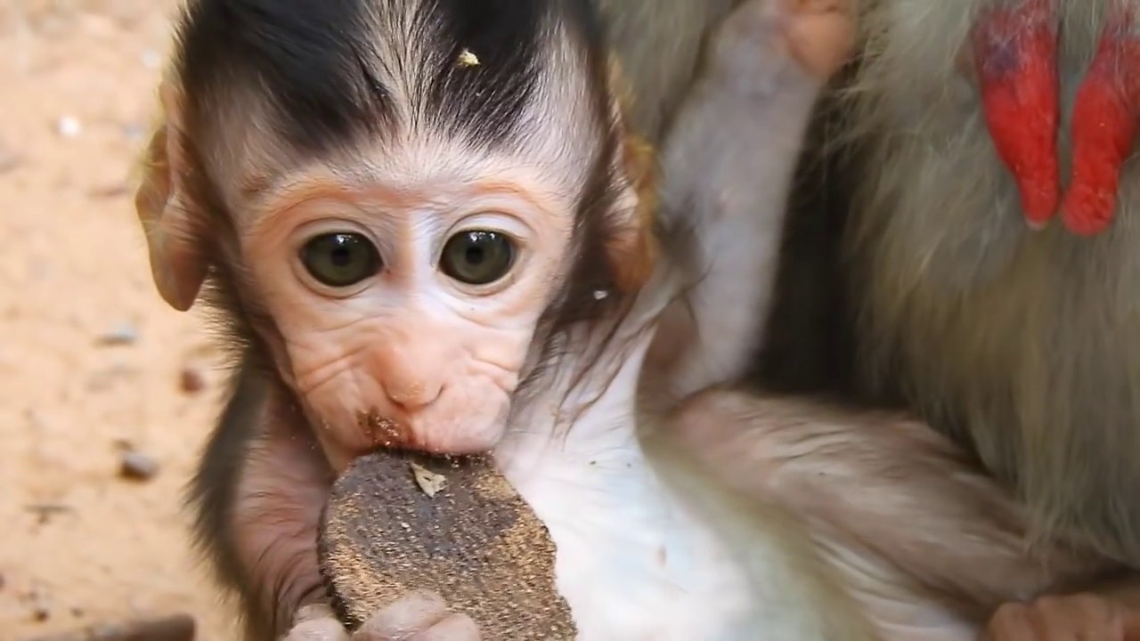 foundry Milk drop down unattended, Mom Jane Needs Nursing To Baby Janet Coz A Lot Of Milk