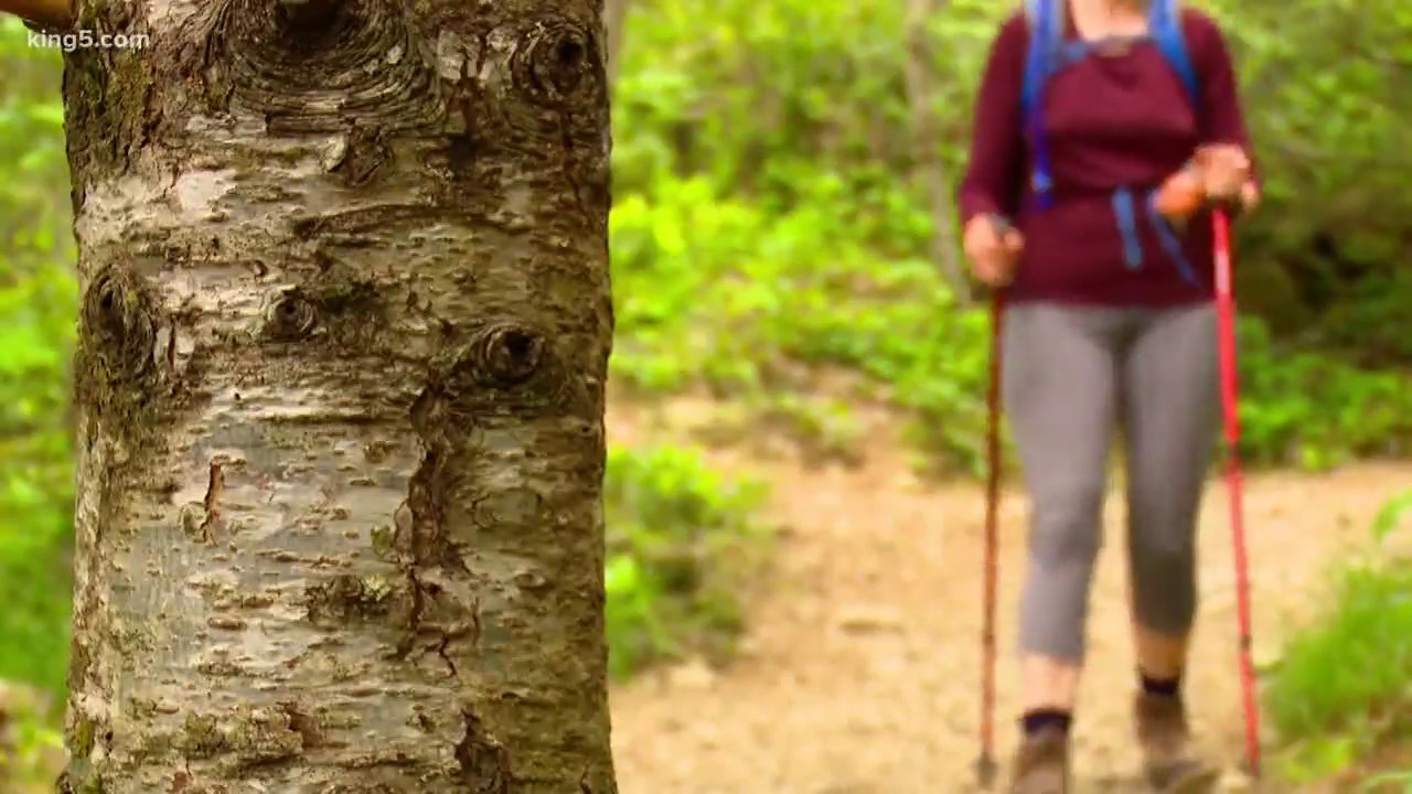 Hiking safety concerns after fatal cougar attack YouTube