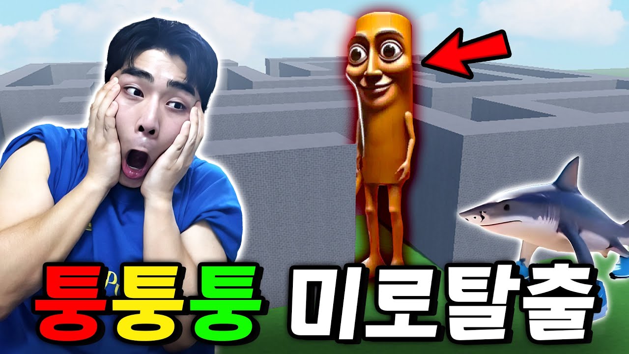 절대 탈출 불가능한 퉁퉁퉁 사후르 미로에 갇혔습니다... [로블록스 이탈리안 브레인롯]