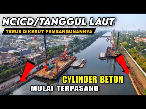 Video: Di mana tanggul digunakan?