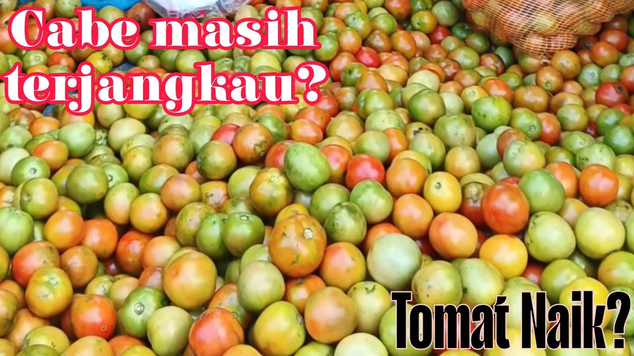 Cabai Turun?Tomat naik? update harga terbaru pasar grosir ngronggo kota kediri(24/02/26)