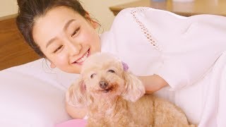 浅田真央 愛犬エアロとcm初共演 エアウィーヴ 新cmが公開 Youtube