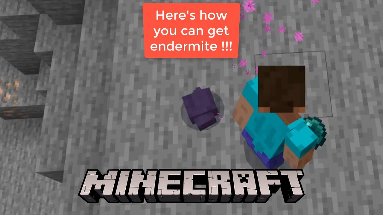 HERE'S HOW YOU CAN GET ENDERMITE !!! MINECRAFT YouTube