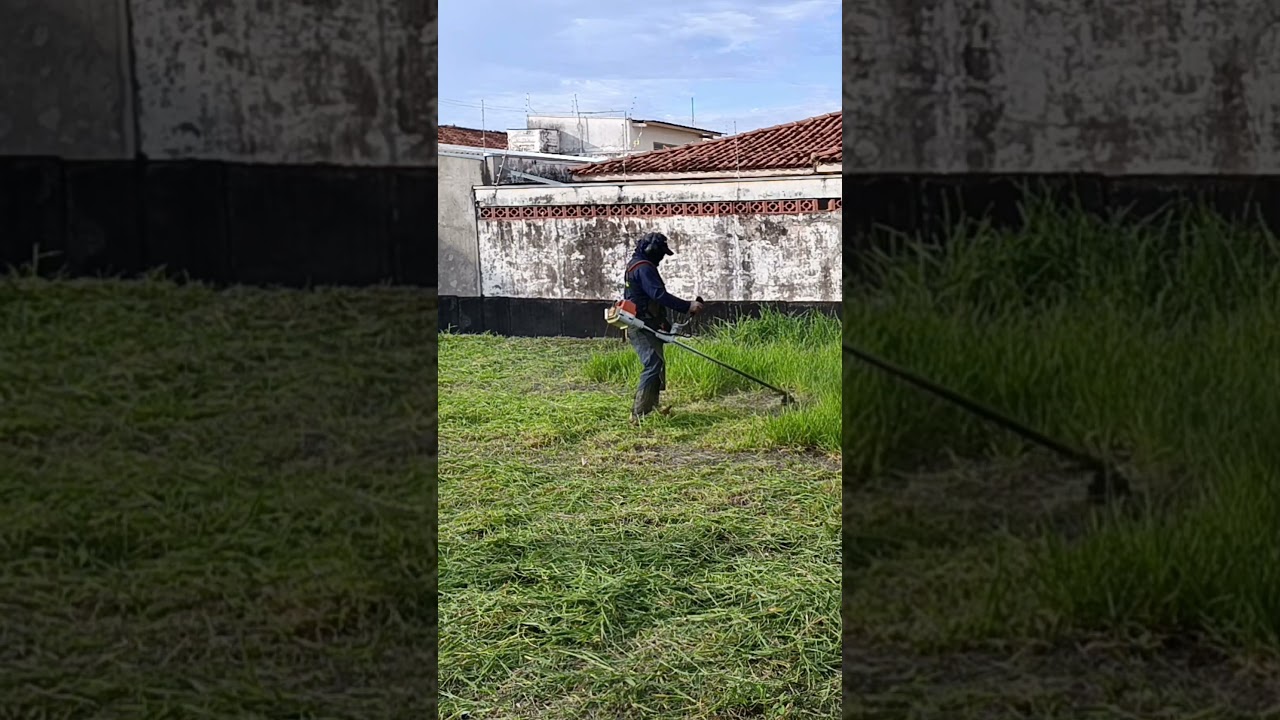 ROÇADEIRA FS 220 ROÇANDO BRAQUIÁRIA ALTA NO NYLON | DIA DIA DO JARDINEIRO