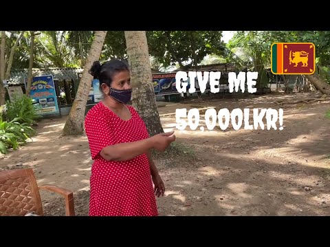 Greedy Sri Lankan Lady | Galle Turtle Hatchery 🇱🇰