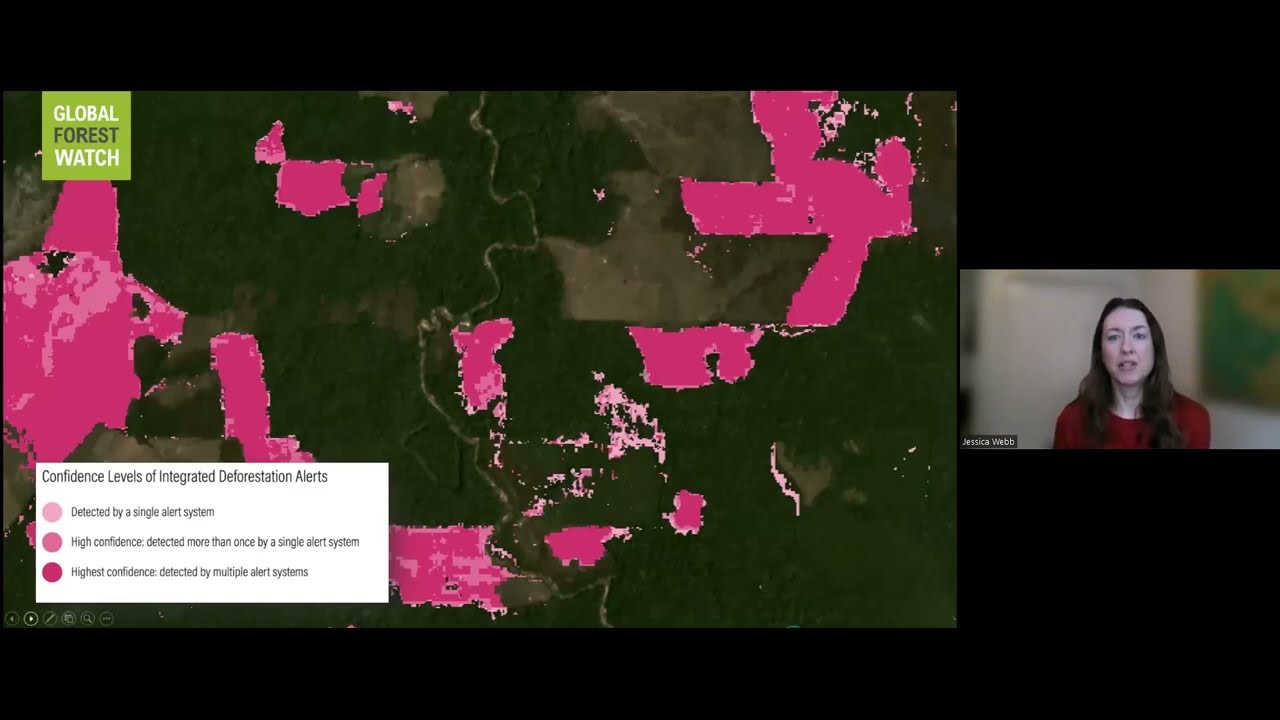 Visualizing & Analyzing Integrated Deforestation Alerts