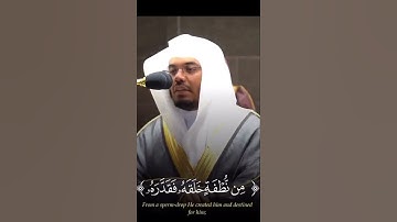تلاوة إبداعية للشيخ ياسر الدوسري من سورة عبس.