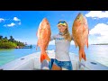 CATCH & COOK the Best Eating Fish in Florida! Quick & Easy Ceviche (Ft. Lauderdale)