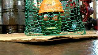 Dropped Bolt Demonstration Video (Safety Helmet)