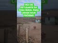 #caminhoparaumavidamelhor vida de estudante da zona rural para cidade mais próxima na estradaDeTerra