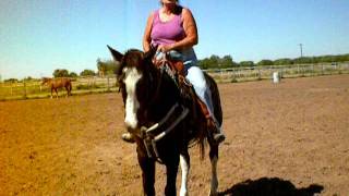 DSCN0640.AVI