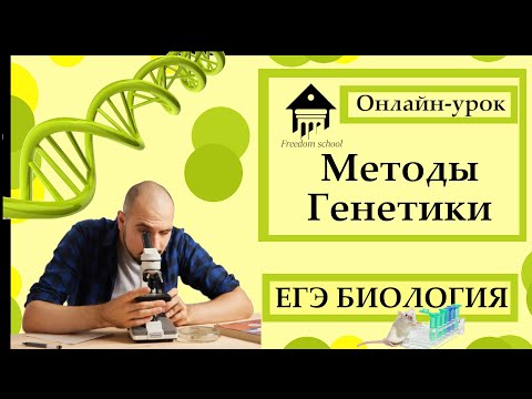 Методы ГЕНЕТИКИ для ЕГЭ 2023 |ЕГЭ БИОЛОГИЯ|Freedom|