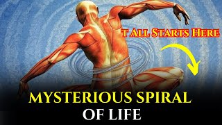 The Secret Movement That Unlocks the Oldest Power Within Your Body