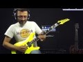 Frank Gambale "Leave Ozone Alone" Cover by Vincenzo Fiore with Ibanez FGM 300 series