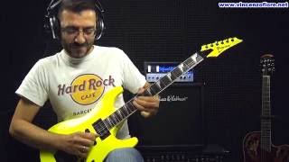 Frank Gambale "Leave Ozone Alone" Cover by Vincenzo Fiore with Ibanez FGM 300 series