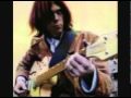 Neil Young - Campaigner