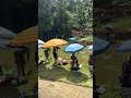 Segura! Tamba na linha! #viral #fishing #pescasub #pesca #pescaria #videos