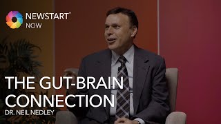 The Gut Brain Connection | Dr Neil Nedley | Nutrition | NEWSTART